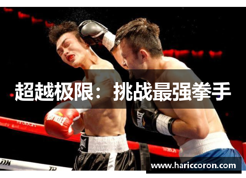 超越极限：挑战最强拳手